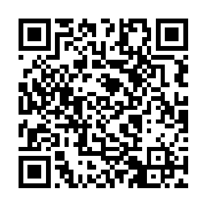 去兵部等机构查阅一下这伙倭寇登陆以来的详细资料二维码生成