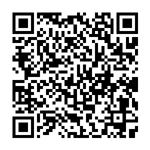 去到紫宸殿时发现光恩帝已经派人将奏折和他日常办公的东西从书房搬回了这里二维码生成