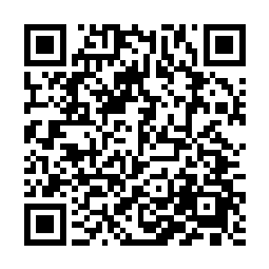 去年冬天不知道跑到哪里冬眠的那条看家蛇又回来了二维码生成