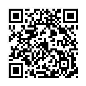 去钓海鱼的下场多半是变成它们的口中美餐二维码生成