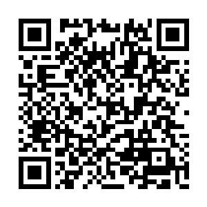 县委副书记关恒肯定是陆为民专门从地委要来的二维码生成