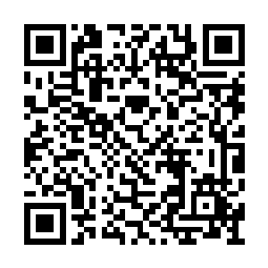 县政府一定在县委领导下努力将成津经济搞上去二维码生成