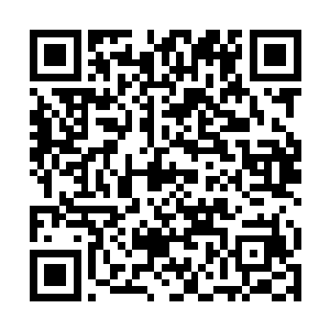 县政fu将按照投资额的千分之一来奖励拉来投资的人二维码生成