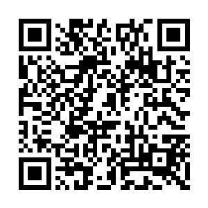 县立二中的操场就变成了全县体育爱好者的乐园二维码生成