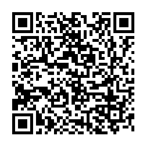 县长黄晓丽向县委书记汇报了自己不同意让经济技术开发区避让高家镇二维码生成