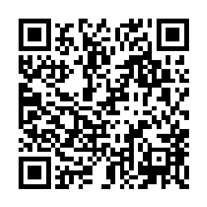 参与五色宝塔历练的星神宫弟子差不多已经到齐二维码生成