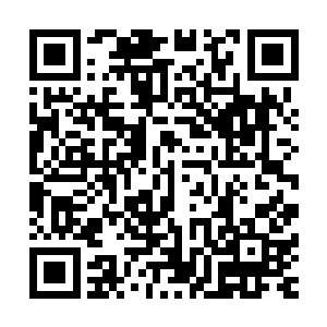 参与演出舞台剧的人里面大概也就只有我和张璐涵脸色平静吧二维码生成