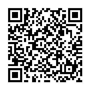 参议院的几位议员曾经一起要求夫人交出国王印章二维码生成