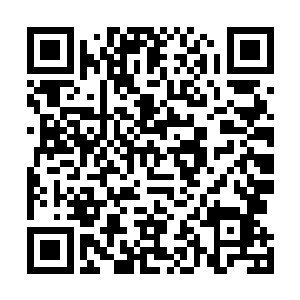 又一伸手抓住了贝贝手里那只才啃了一口快要落地的苹果二维码生成