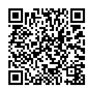 又从袋中取出了一堆不知什么时候摘采的野生小蘑菇二维码生成