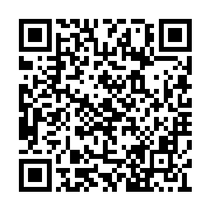 又令何进半月内必须捉拿以王越为首的一众反贼二维码生成