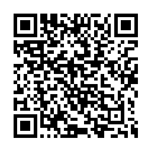 又仿佛被人毒打了一顿的莱昂纳多虽然狼狈不堪二维码生成