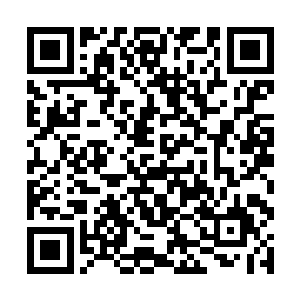 又似乎是充满意外地拿走了托尼奖最佳女演员的奖杯二维码生成