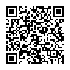 又似乎是朝阳起时照着海滩上的石头蒸出来的咸意二维码生成