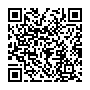 又像是一辆放大的儿童玩具――有两个西伯人壮汉二维码生成