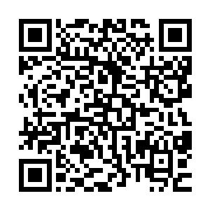 又因为自己而得罪了在南瞻部几乎可以称得上一方霸主的梁丰二维码生成