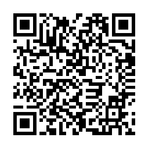 又将四个罗天上仙初期修士从云宝宝的体内召唤了出来二维码生成