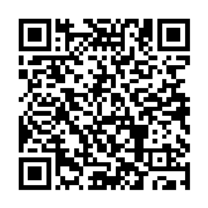 又岂容得王叹之这个来路不明的人物在自己面前叫嚣二维码生成