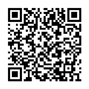 又岂是咒法境六重的容家大长老能够轻易冲开的二维码生成