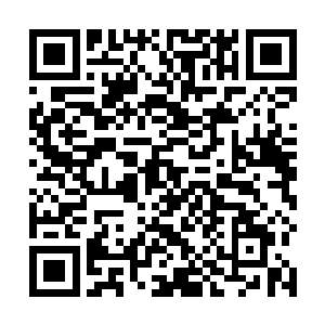 又忽然用一道化作细丝的剑气勾住了圆胖脖子的铃铛带二维码生成