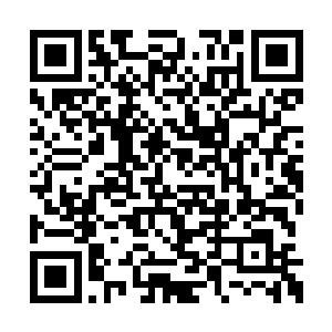 又怎么会联合家人通敌卖国帮助北齐南下夺疆土二维码生成