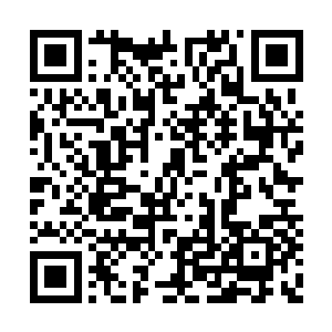 又怎么可能对自己国家的有功之臣的妻子下手呢二维码生成