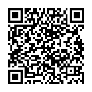 又怎么能神不知鬼不觉的的来咱们宫里的树下挖走香囊二维码生成