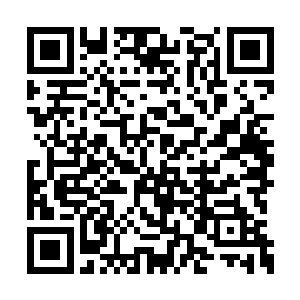 又怎会如此轻易地被马文煽动起这么一大批人马二维码生成