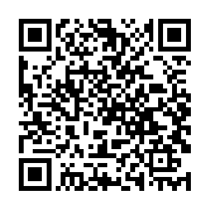 又怎会委屈自己来迁就这个被自己压了十几年的傻子二维码生成