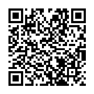 又怎是他们这种连地级修为都不曾达到的修士能够比拟二维码生成