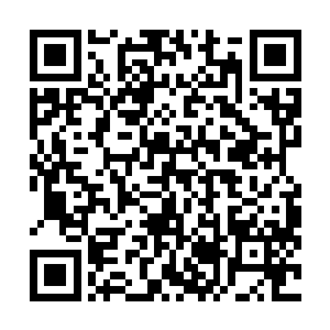 又怕和叔叔所说的那家需要搞好关系的闻人家族发生冲突二维码生成
