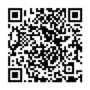 又想到上层先前曾经交代的要特招这个稀罕的御宠仙人二维码生成