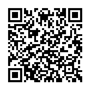 又或是一不小心就被两个大家伙战斗的余波震死二维码生成