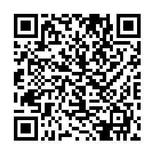 又或是被人装进棺材活埋进了地下……而他们手中仅有的二维码生成