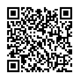 又或者他祭出九幽素阴女帝留给他的那缕先天之气二维码生成