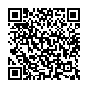 又或者是那个徐天泽找人来报仇打扰到阳炎炼器二维码生成