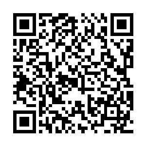又或者说出生状态并不符合龙凤两族的那啥那啥的……二维码生成