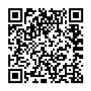 又承认了从泡药酒到故意让朱明奎行房事时先喝酒二维码生成