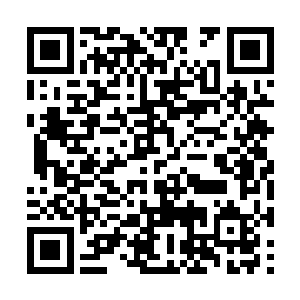 又把自己珍藏的一些压箱子底的滋补的草药拿出来二维码生成