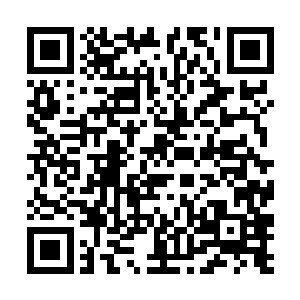 又是再次对轩崇云发动了下一轮猛烈的寒气刀芒攻击二维码生成