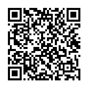 又是将一大堆的记录账簿还有信笺之类的物事抛在了地上二维码生成
