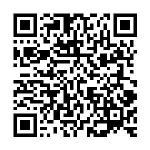 又有些害怕真正走到剑及履及那一步之后自己该怎么面对对方二维码生成