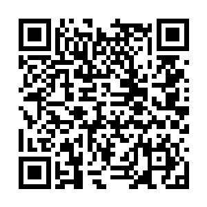 又有几个小男孩是喜欢和女孩子一起玩洋娃娃的呢二维码生成