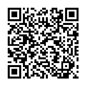 又有哪个来南方开宗立派的修士会拥有丹符器阵四项本事二维码生成