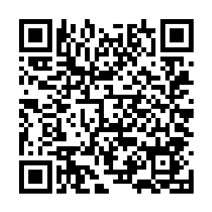 又有媒体曝光出李老太的儿女拒绝了百佳乐二十万二维码生成