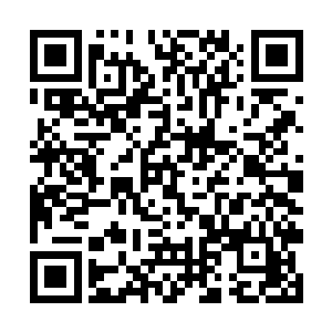 又有着导师的帮助……塔布里斯的眸子有些深沉起来二维码生成