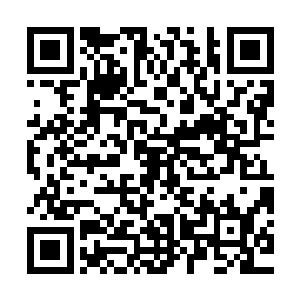 又看了看地上的那副已经被盖上了少女画像――原来是自画像啊二维码生成