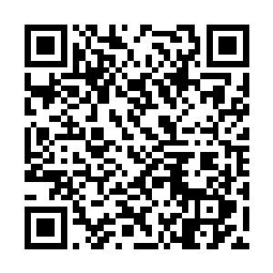又看了看秦方签下的那一张一千万美景的银行支票二维码生成