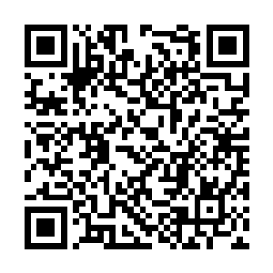 又硬熬了一眼没闭眼的两人顶着两个黑眼圈出发了二维码生成