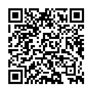 又穿插了一段王大哥初见这个乐乐时的情感描写二维码生成